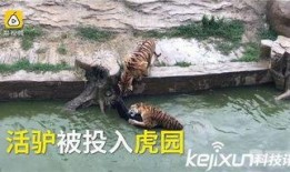 周轩和二驴最新爆料