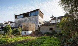 最新乡村都市大爆料,最新乡村发展动态大爆料